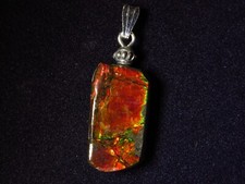 Ammolith Anhänger (Kanada)