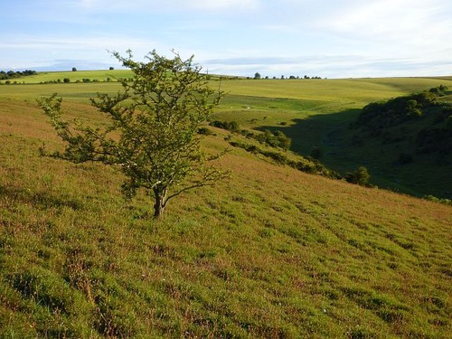 Foto 6x4 downland - foto,
