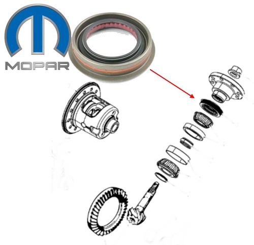 Differenzial pinion simmerring - pinion,