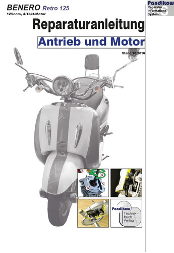 Reparaturanleitung ris benero - reparaturanleitung,