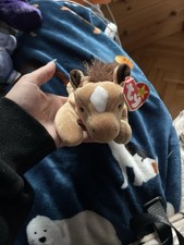Beanie baby derby von - derby,