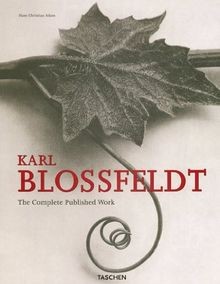Karl blossfeldt the - blossfeldt, :