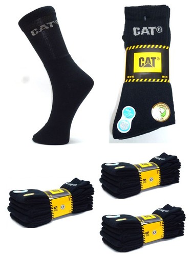 Cat caterpillar paar - cat,