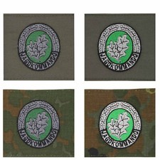 Sonder-Abzeichen der