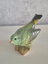 Vogel grünfink von goebel - vogel,