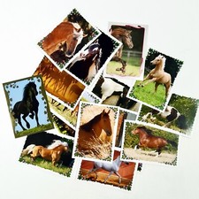 15x Panini Sammelsticker