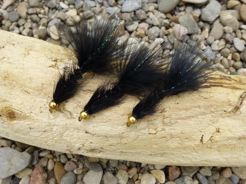 Goldkopf wooly woolly - wooly,