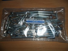 Sachs 80 SW, wassergekühlt