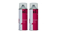 Spraydose für audi - spraydose,
