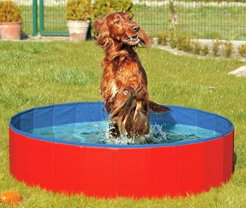 Karlie doggy pool - pool, der