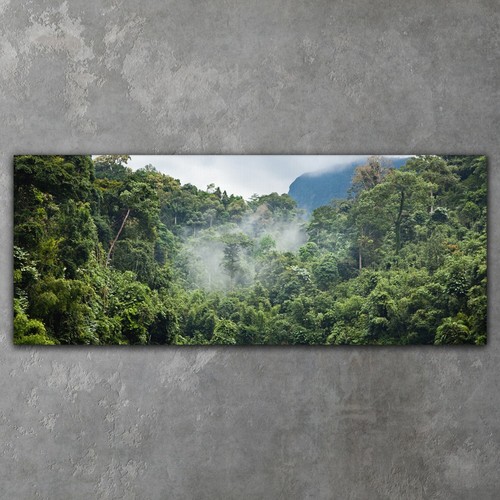 Leinwand wandbilder xxl canvas - leinwand,