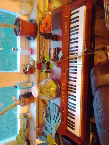 Yamaha electronic - yp-40,