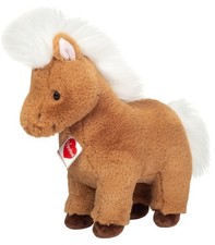 Yuna Shetland Pony Von Teddy