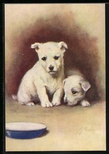 Ansichtskarte The West Highland White Terrier, Portrait 