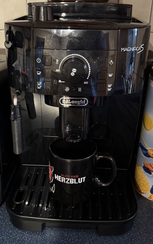 Longhi magnifica s - magnifica,