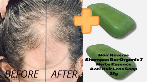Hair reverse holistic shampoo - hair,