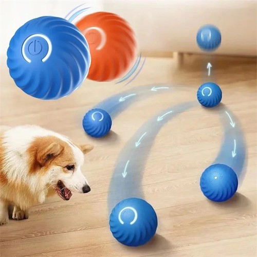 Interaktiver hundespielzeug - interaktiver,