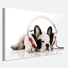 Wandbild HUND MIT KOPFHÖRER