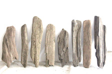 Schwemmholz Treibholz 8