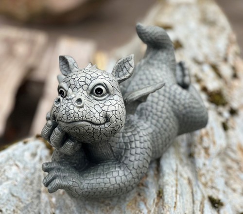 Gartendrache drache auf bauch - auf,