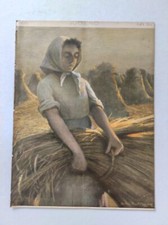 ORIGINAL Zeitschrift JUGEND 1905 Nr. 34 - guter Zustand nach über 100 Jahren!