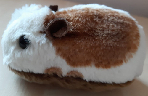 Meerschweinchen mehrfarbig - meerschweinchen,,