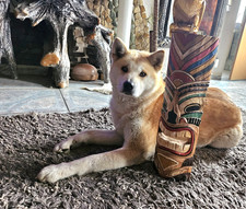 Maske Tiki Wanddeko Maori