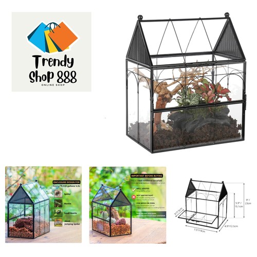 Insect terrarium - insect,