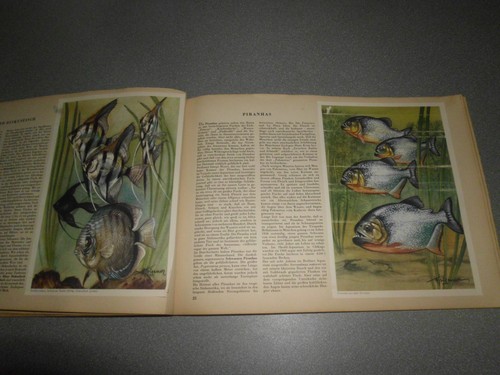 Altes sammelalbum album - altes,