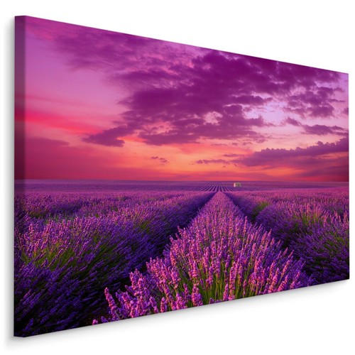 Canvas leinwand bilder xxl - bilder,