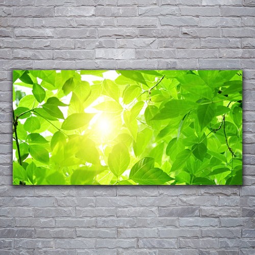 Acrylglasbilder wandbilder - acrylglasbilder,