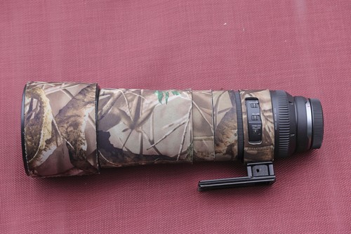 Canon 800mm is stm mit - canon,