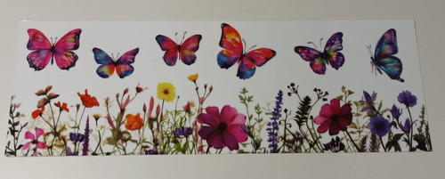 Fensterbild schmetterlinge - fensterbild,