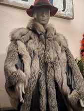 ​Exklusive SAGA FOX