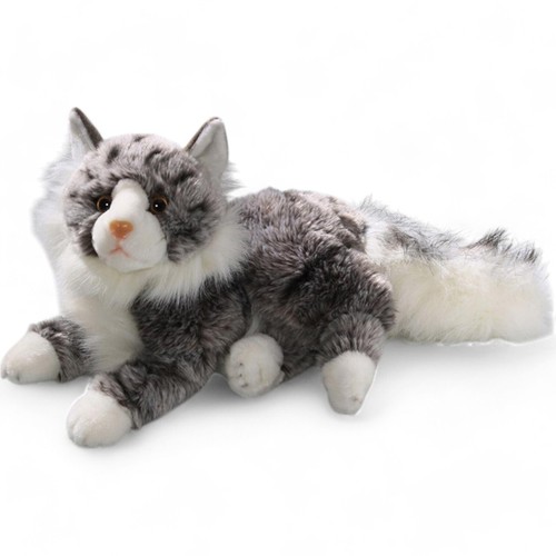 Carl dick katze - carl,
