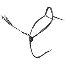 PASSIER Marcus Ehning