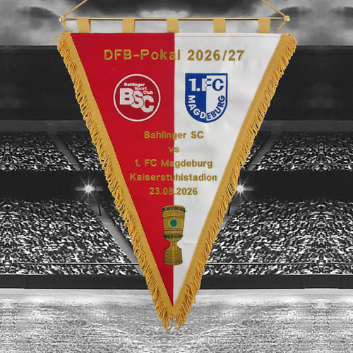 Bahlinger fc magdeburg - sc,