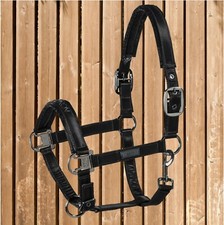 Eskadron Halfter Shinegloss