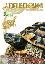 Tortue dhermann testudo - la,