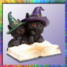 Hexen Katzen-Duo mit