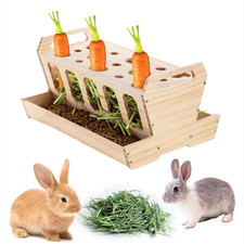 Heuraufe für Meerschweinchen