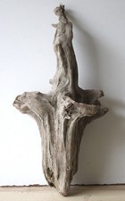 Treibholz Schwemmholz