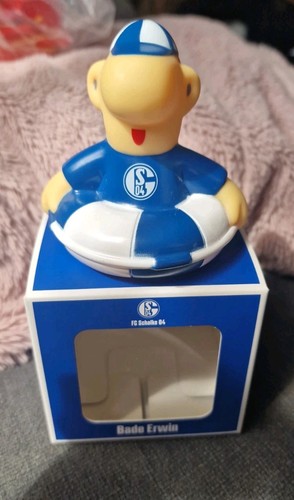 Schalke bade erwin - fc, 04