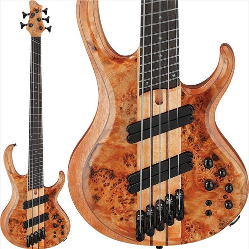 Ibanez btb805ms fnl spot model - btb805ms-fnl,