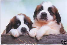 Klappkarte mit Umschlag: zwei