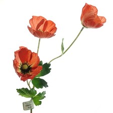 Kaemingk Mohn Rot 3 Blüten 71