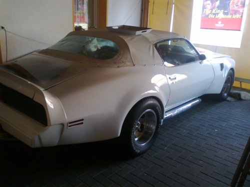 Trans cabrio 1979 - , unikat