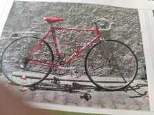 Rennrad Hercules Ravenna Rot