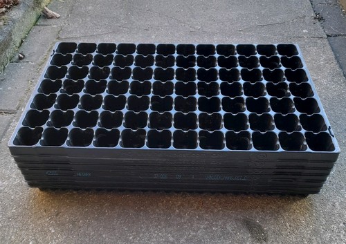 Pikierplatten - 6,