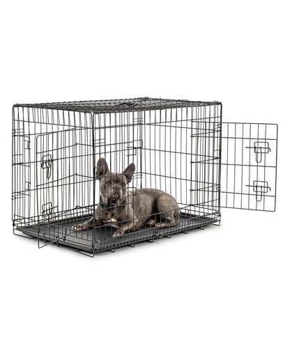 Ware lionto - b-ware:,
